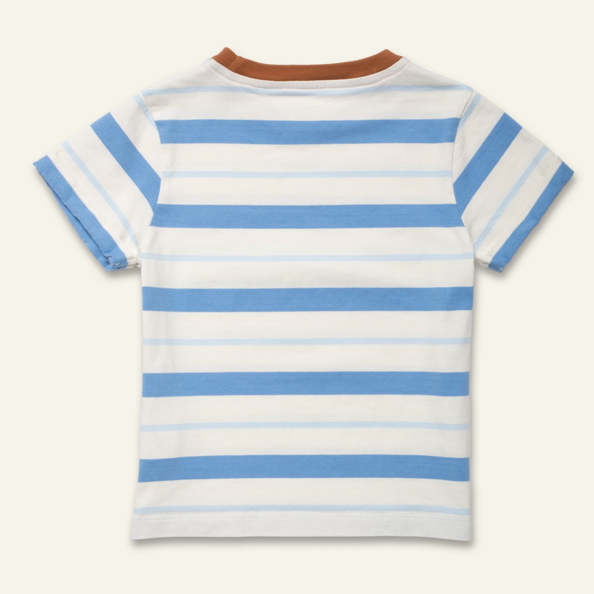 Blue Stripe T-Shirt