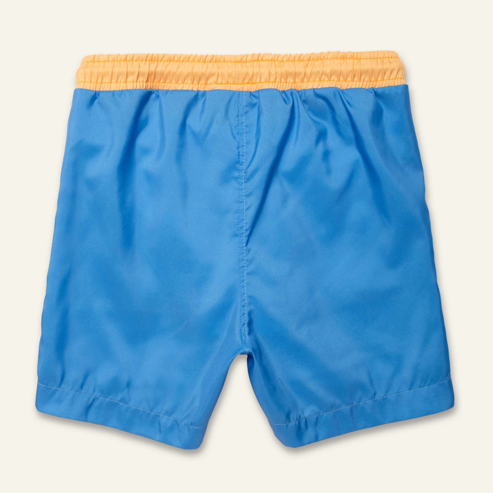 Recycled Blue Colorblock Swim Trunk