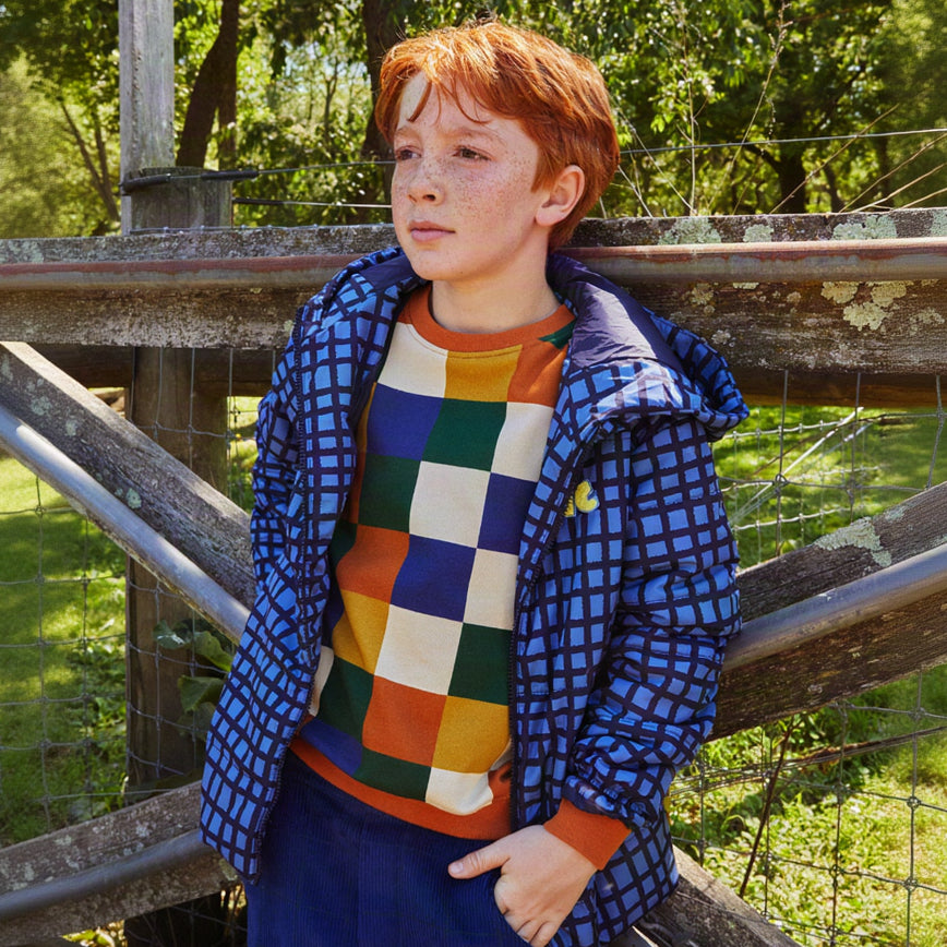 Blue Grid Puffer
