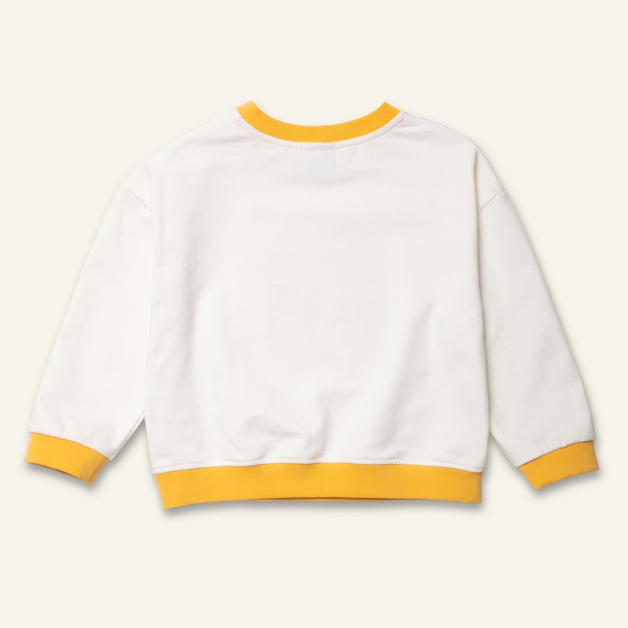 Vintage Rainbow Sweatshirt