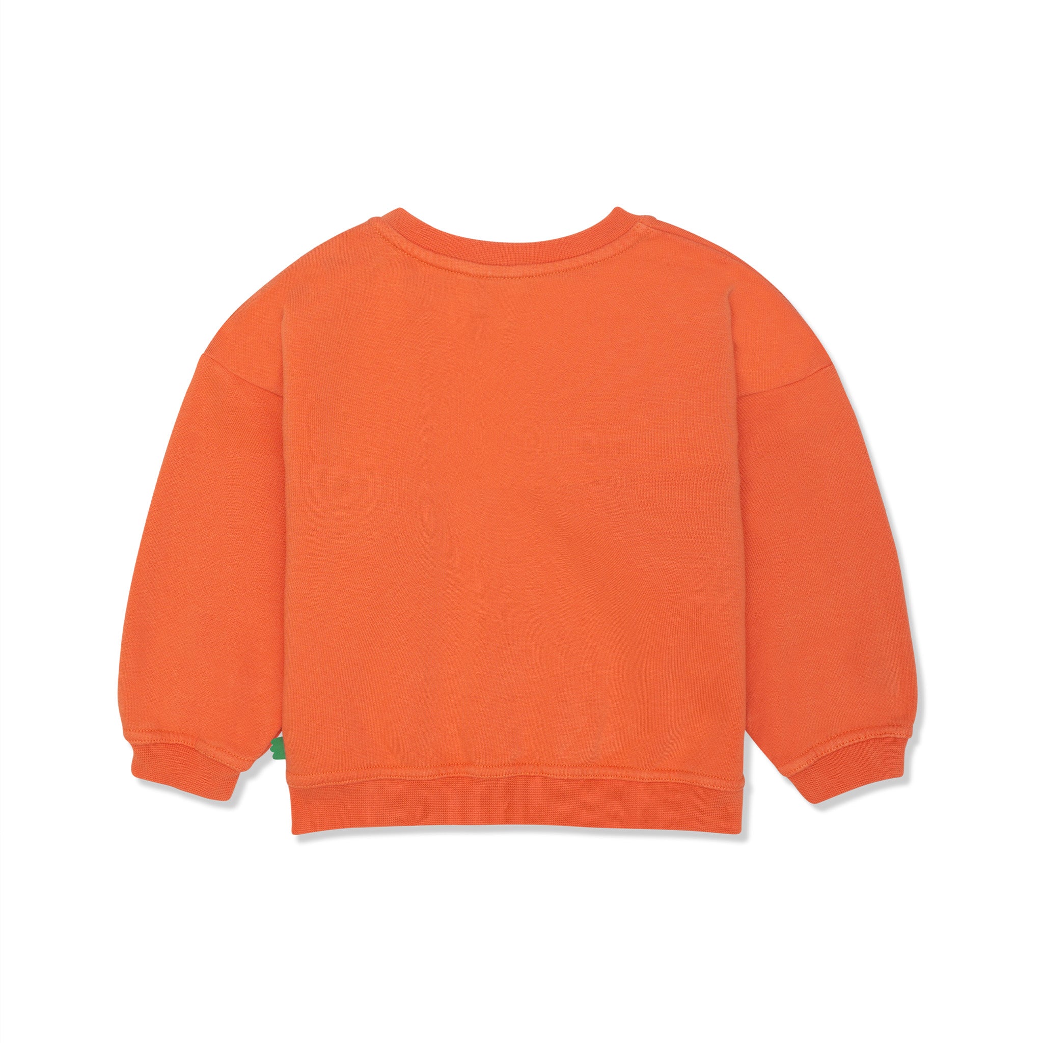 Recycled Cotton Coral Kid Sweatshirt