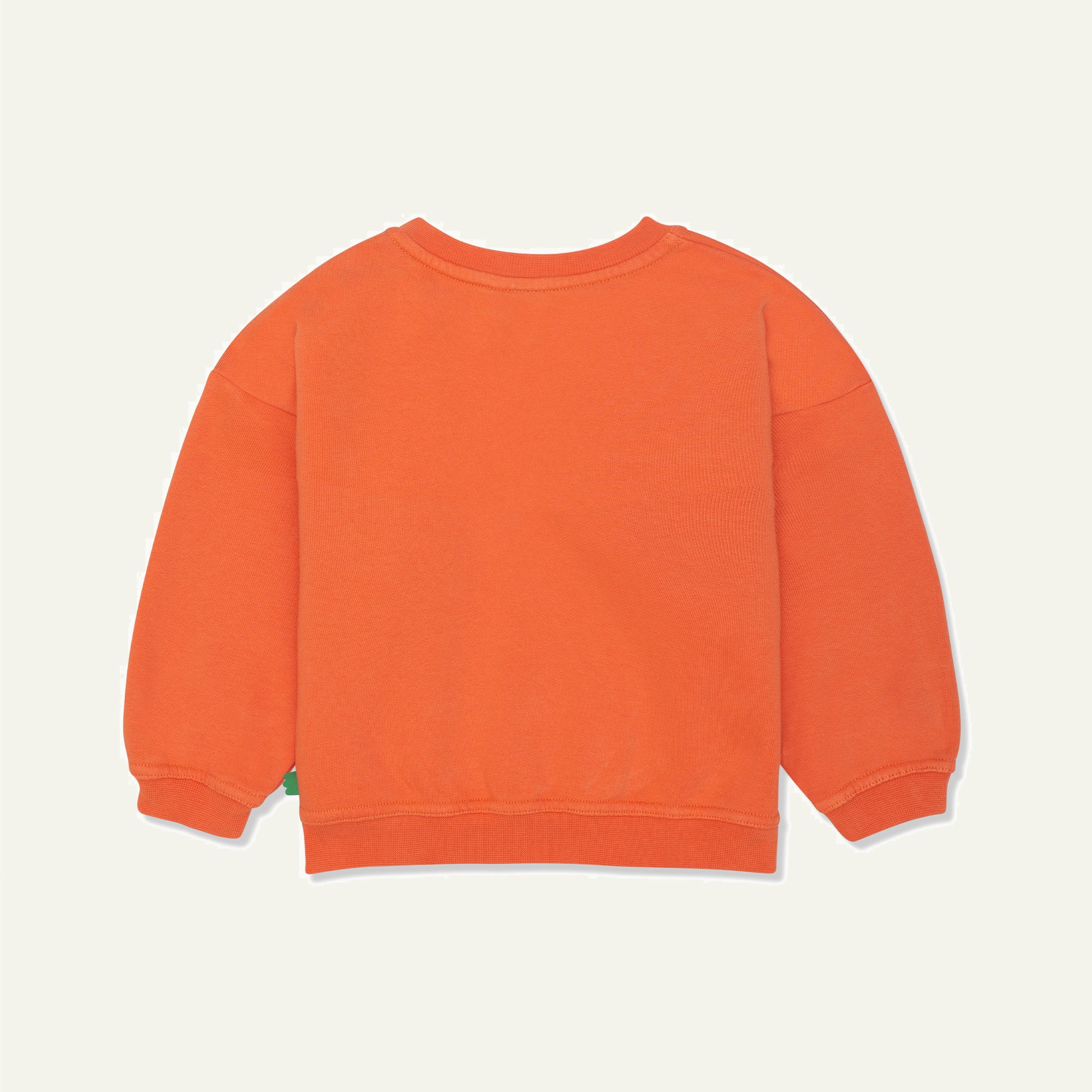 Recycled Cotton Coral Kid Sweatshirt 02Y Coral